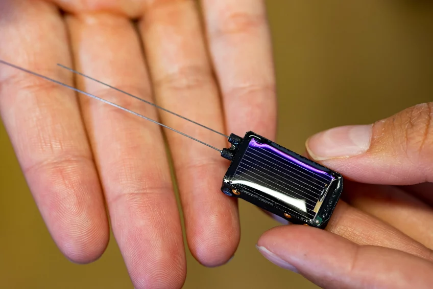 Nahaufnahme des ICARUS Senders zur Tierortung, in der Hand, so groß wie ein Finger